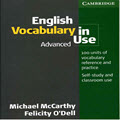 English vocabulary in use: Advanced