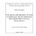 Ứng dụng chỉ thị phân tử PCR và dòng BAC để xác định gen mùi thơn trên cây lúa (Oryza sative L.)