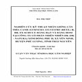 Nghiên cứu kỹ thuật nhân giống cây thìa canh (Gymnema sylvestre (Retz.) R.BR. EX SChult) bằng hạt và bằng hom tại công ty cổ phần thiên nhiên DK (DK-Natura) xóm Đồng Phủ II, Xã Yên Ninh, Huyện Phú Lương, tỉnh Thái Nguyên