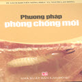 Phương pháp phòng chống mối