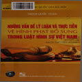 Những vấn đề lý luận và thực tiễn về hình phạt bổ sung trong luật hình sự Việt Nam