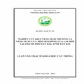 Nghiên cứu khả năng sinh trưởng và năng suất của một số giống lúa lai mới tại thành phố Yên Bái, tỉnh Yên Bái